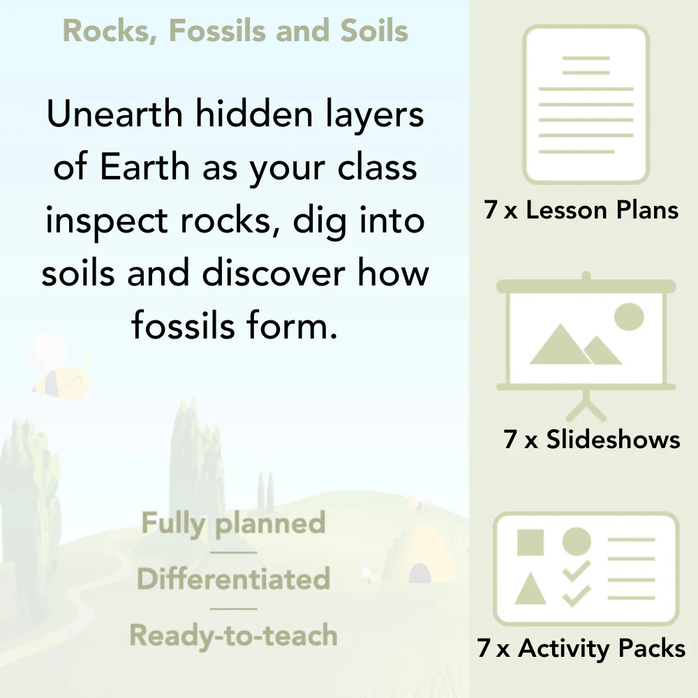 Rocks, Fossils and Soils - Image 2