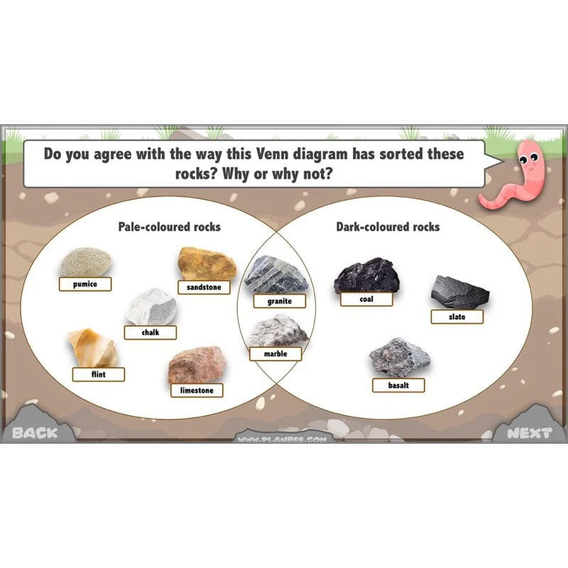 Rocks, Fossils and Soils - Image 34