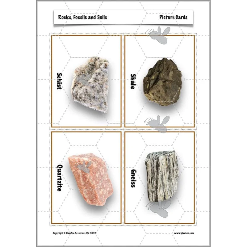 Rocks, Fossils and Soils - Image 38