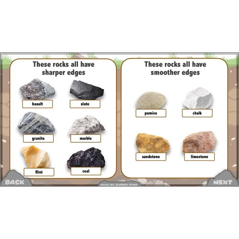 Rocks, Fossils and Soils - Image 4