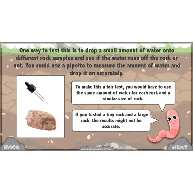 Rocks, Fossils and Soils - Image 43