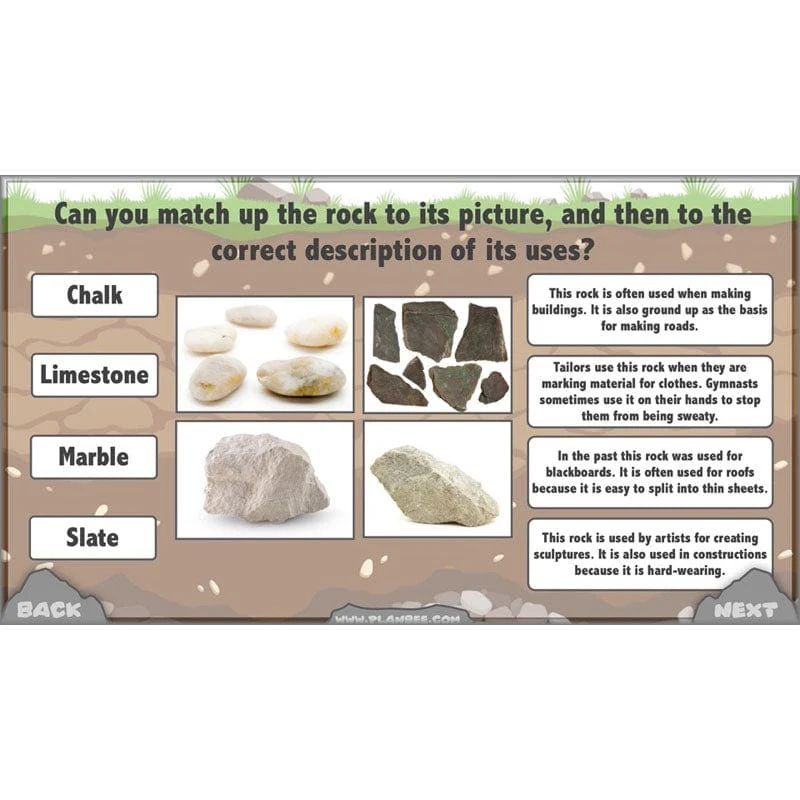 Rocks, Fossils and Soils - Image 49