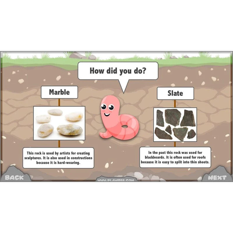 Rocks, Fossils and Soils - Image 50