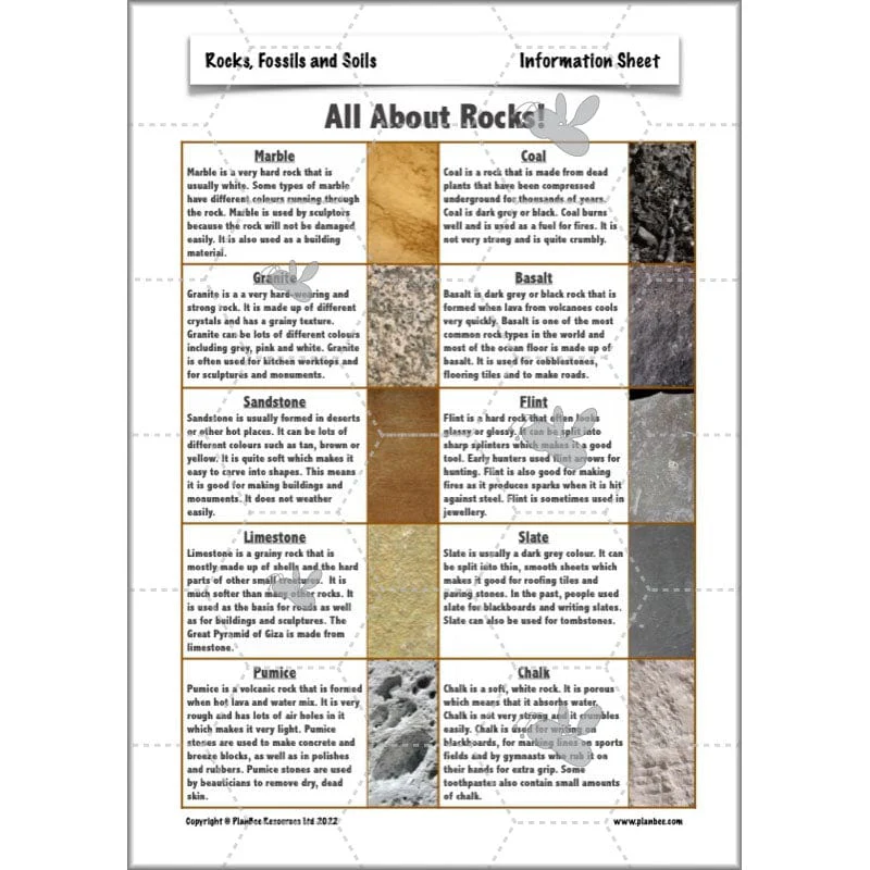Rocks, Fossils and Soils - Image 54