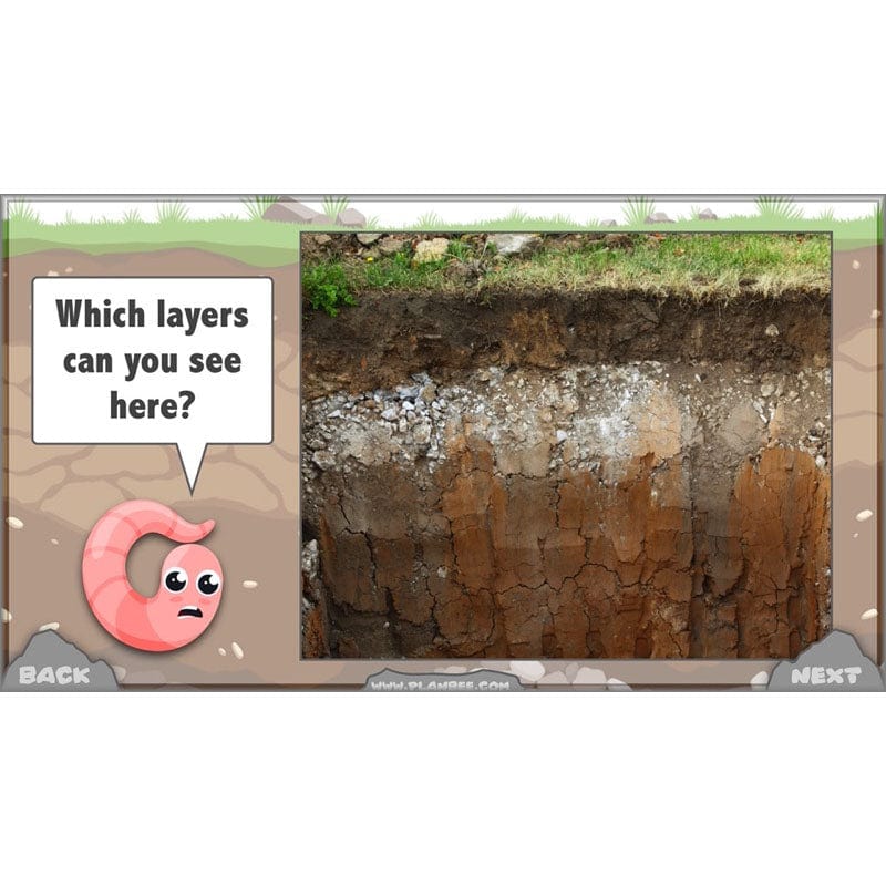 Rocks, Fossils and Soils - Image 57