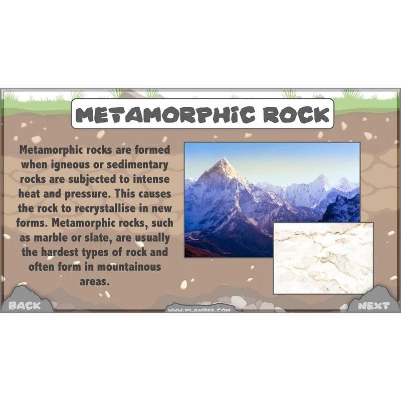 Rocks, Fossils and Soils - Image 64