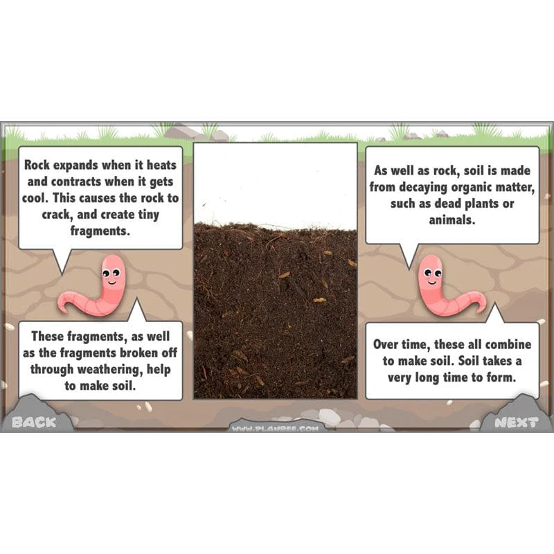 Rocks, Fossils and Soils - Image 7