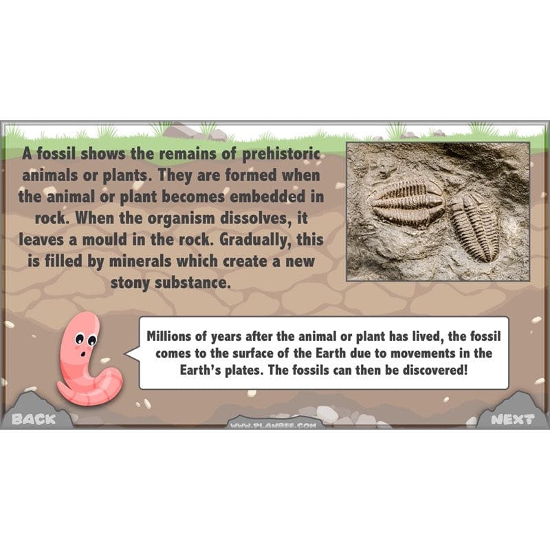 Rocks, Fossils and Soils - Image 72