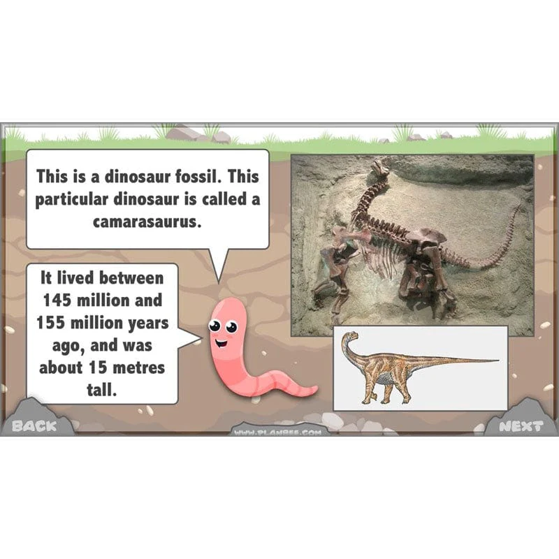 Rocks, Fossils and Soils - Image 75