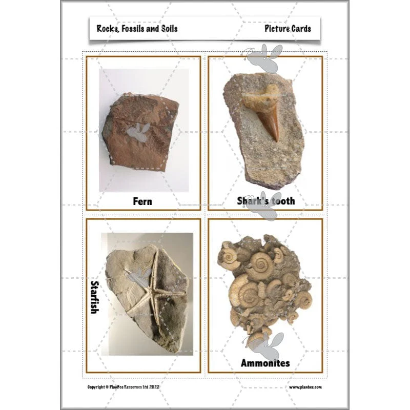 Rocks, Fossils and Soils - Image 78