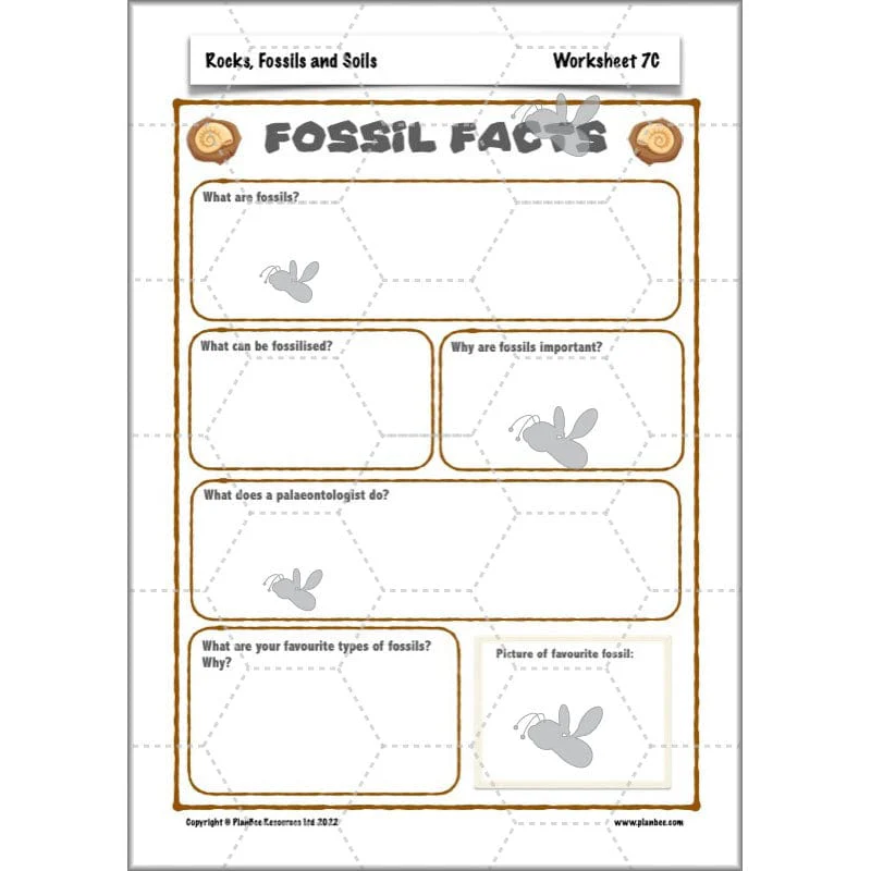 Rocks, Fossils and Soils - Image 79