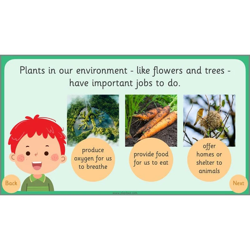 Roles and Responsibilities - Image 45