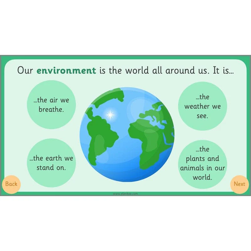 Roles and Responsibilities - Image 9