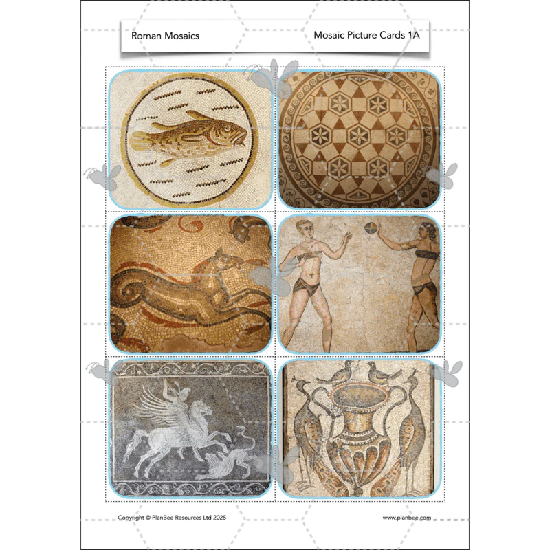 Roman Mosaics KS2 - Image 15