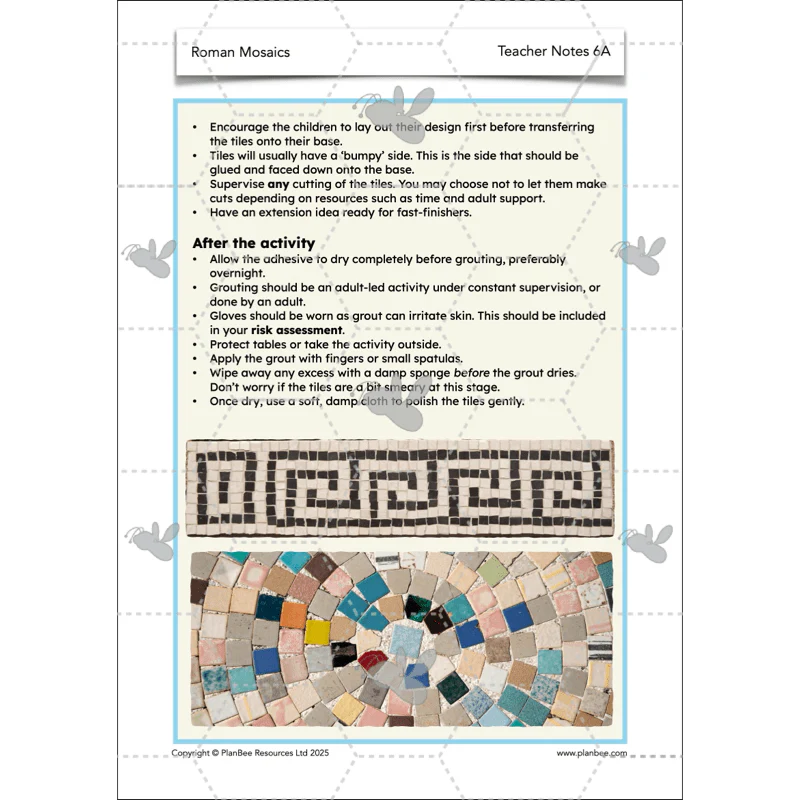 Roman Mosaics KS2 - Image 20