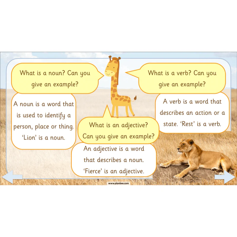 Safari Adventures - Image 13