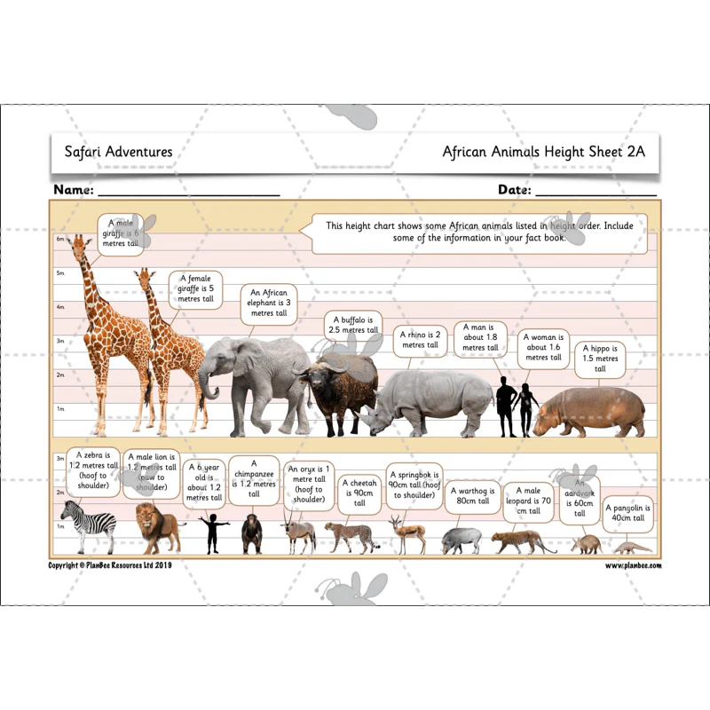 Safari Adventures - Image 16