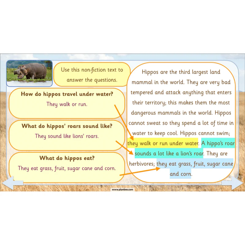 Safari Adventures - Image 34