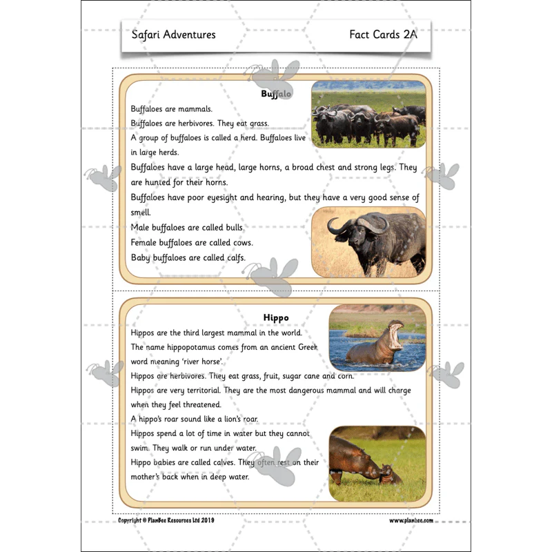 Safari Adventures - Image 36