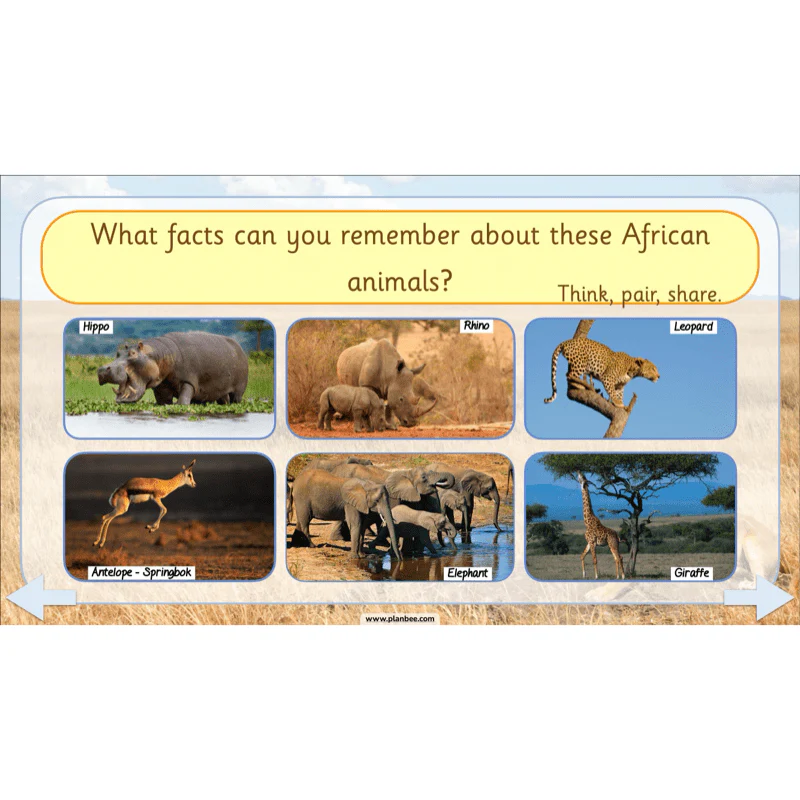 Safari Adventures - Image 39