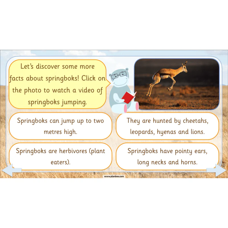 Safari Adventures - Image 4