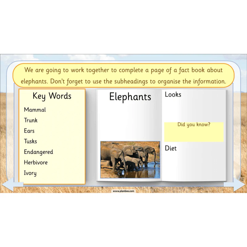 Safari Adventures - Image 40