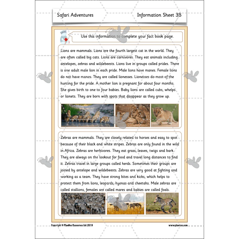 Safari Adventures - Image 45