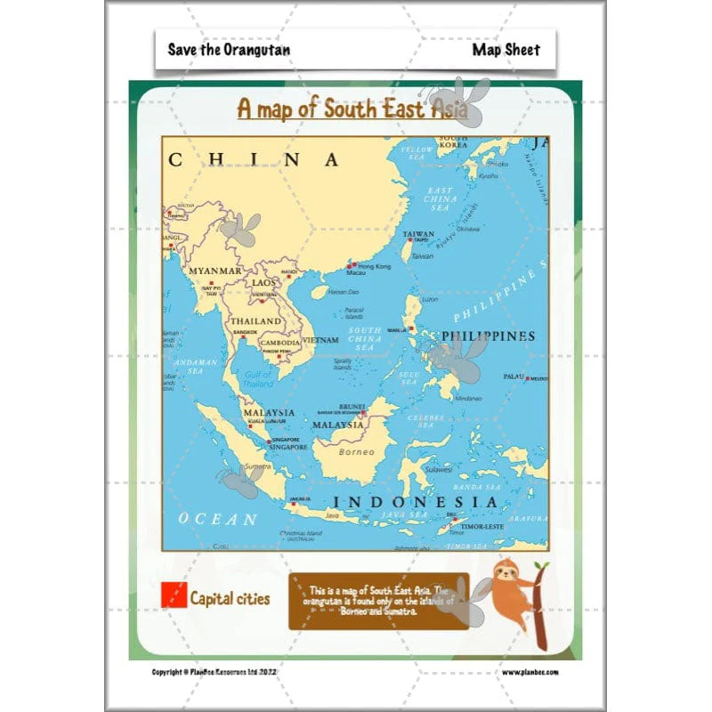 Save the Orangutan - Image 12