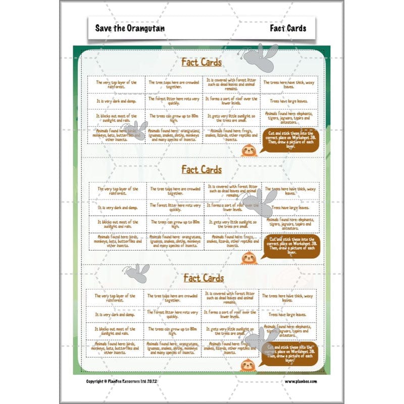 Save the Orangutan - Image 13