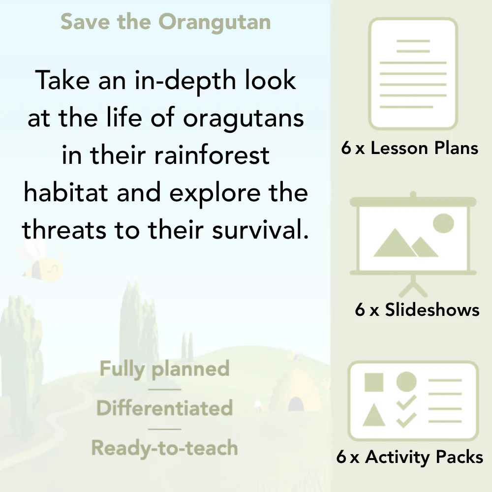 Save the Orangutan - Image 2