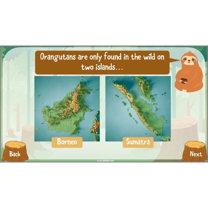 Save the Orangutan - Image 32