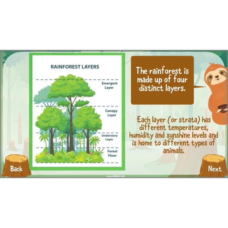 Save the Orangutan - Image 39