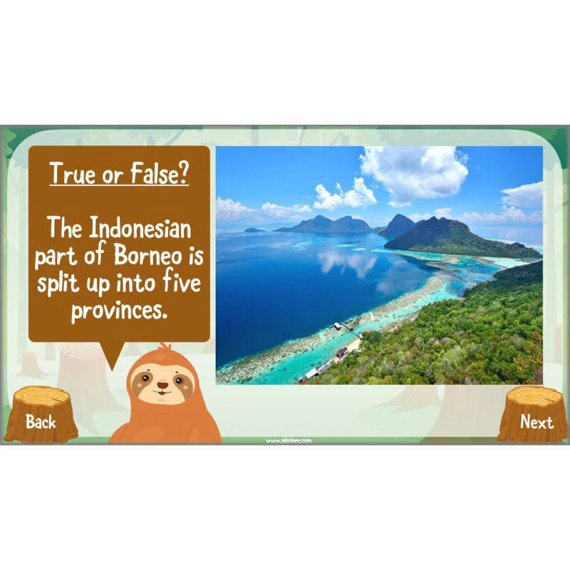 Save the Orangutan - Image 5