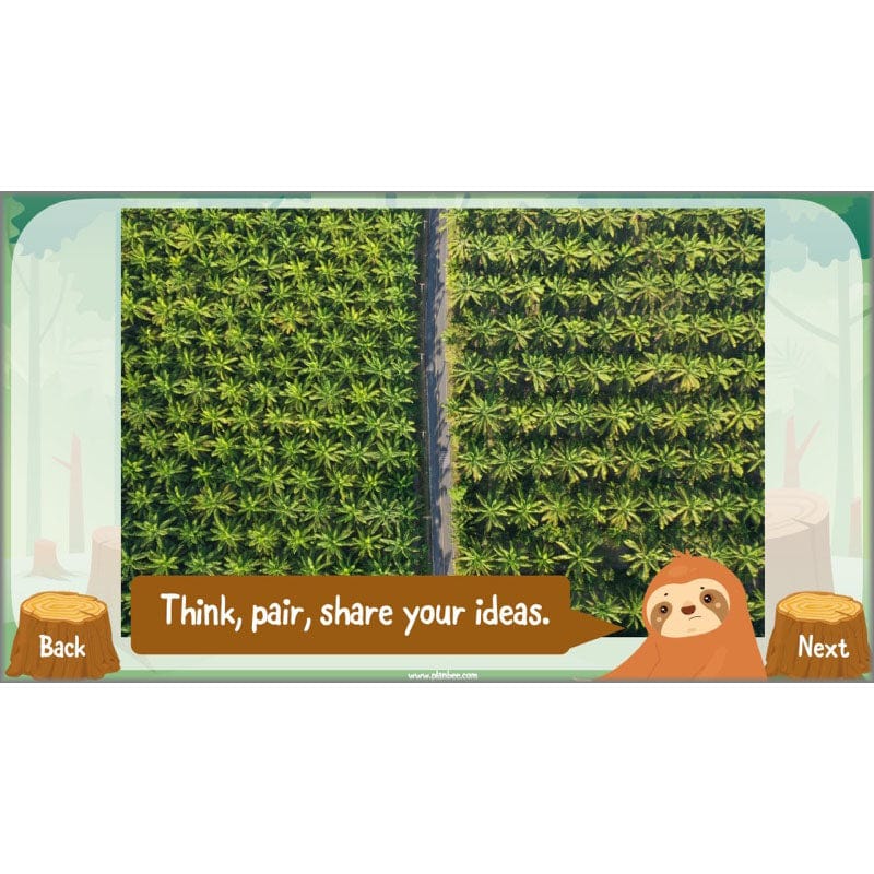 Save the Orangutan - Image 6
