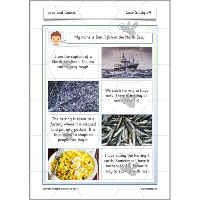 Seas and Coasts - Image 43