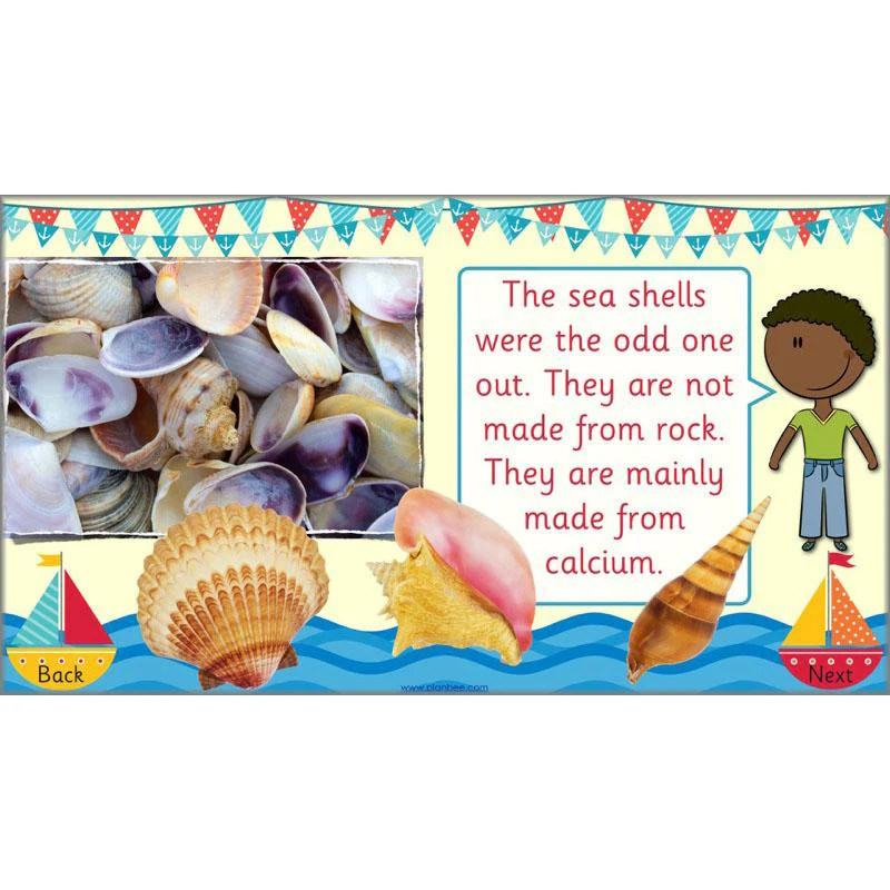 Seaside Objects - Image 39