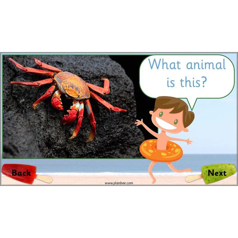 Seaside Snacks - Image 47