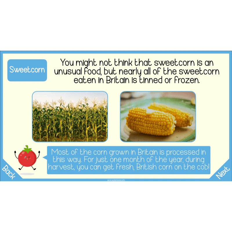 Seasonal Food - Image 13