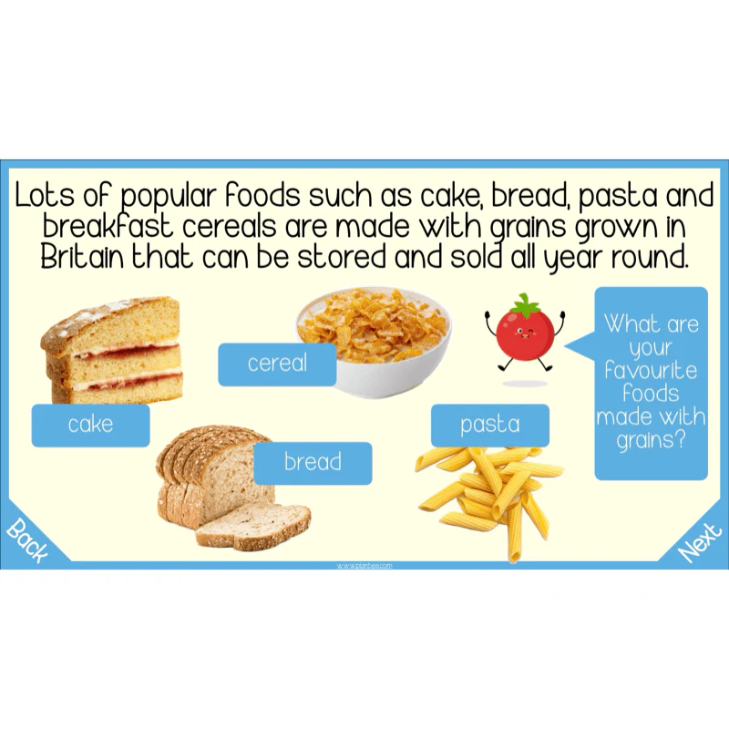 Seasonal Food - Image 26