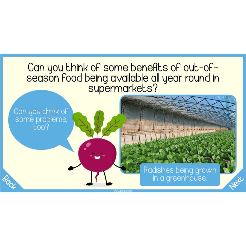 Seasonal Food - Image 4