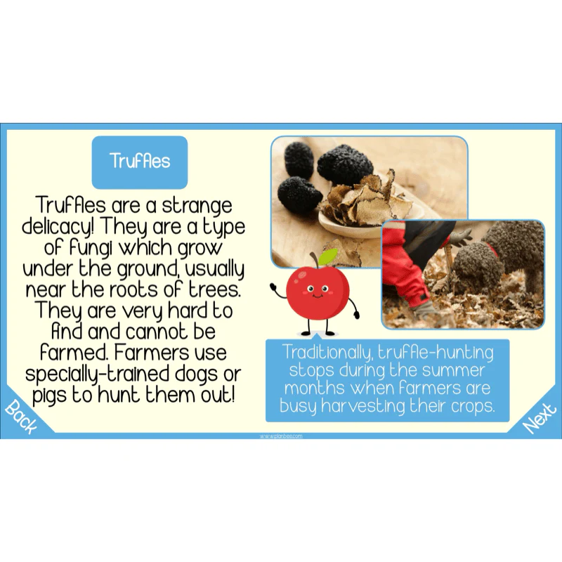 Seasonal Food - Image 66
