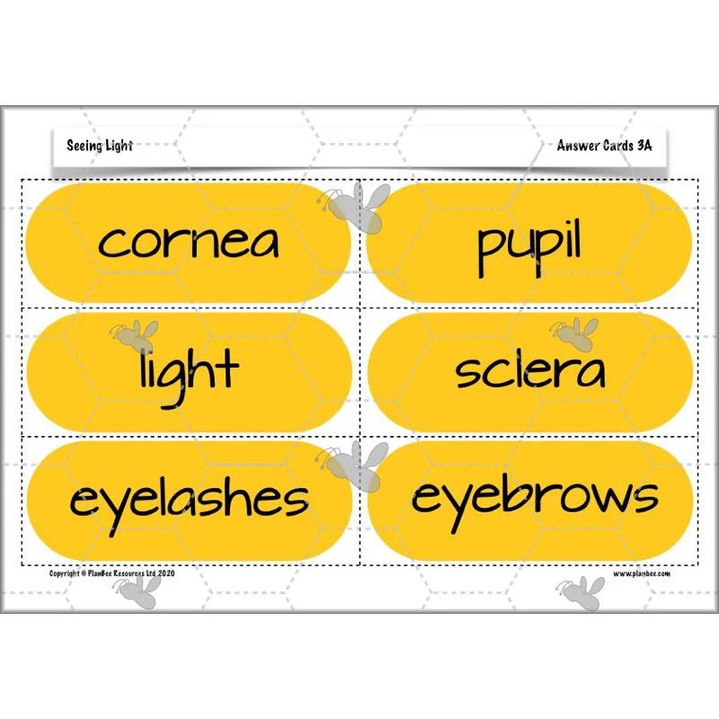 Seeing Light - Image 20