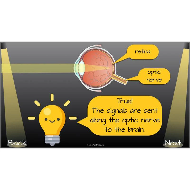 Seeing Light - Image 53