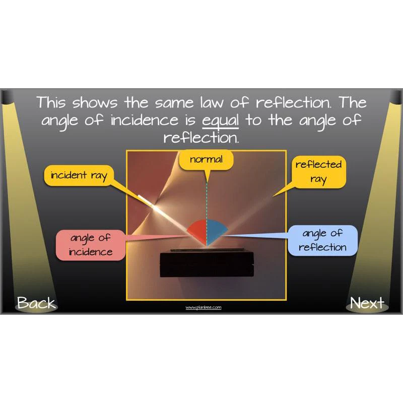 Seeing Light - Image 62