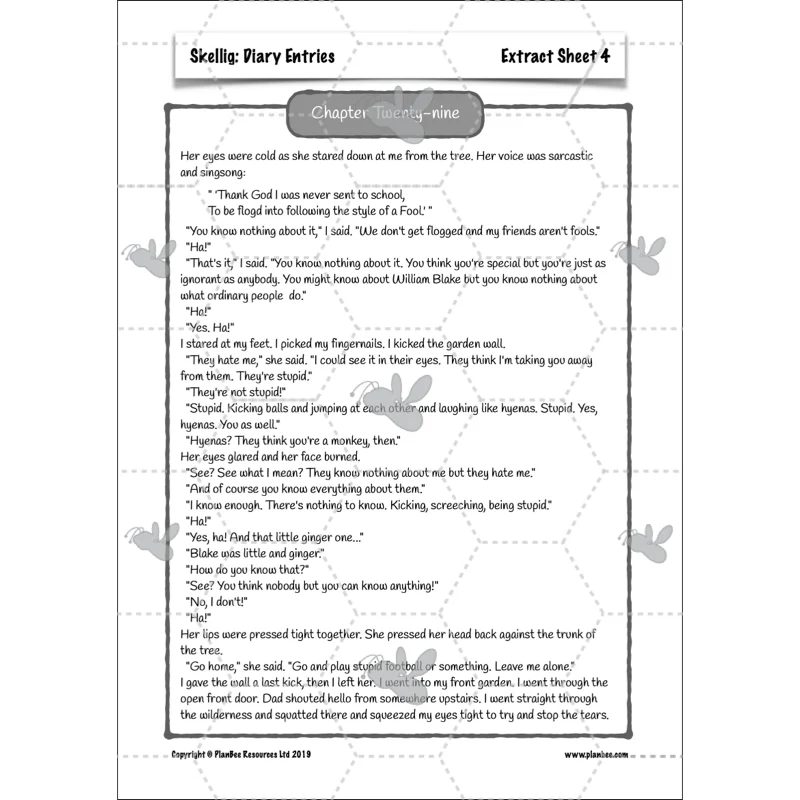 Skellig: Diary Entries - Image 29