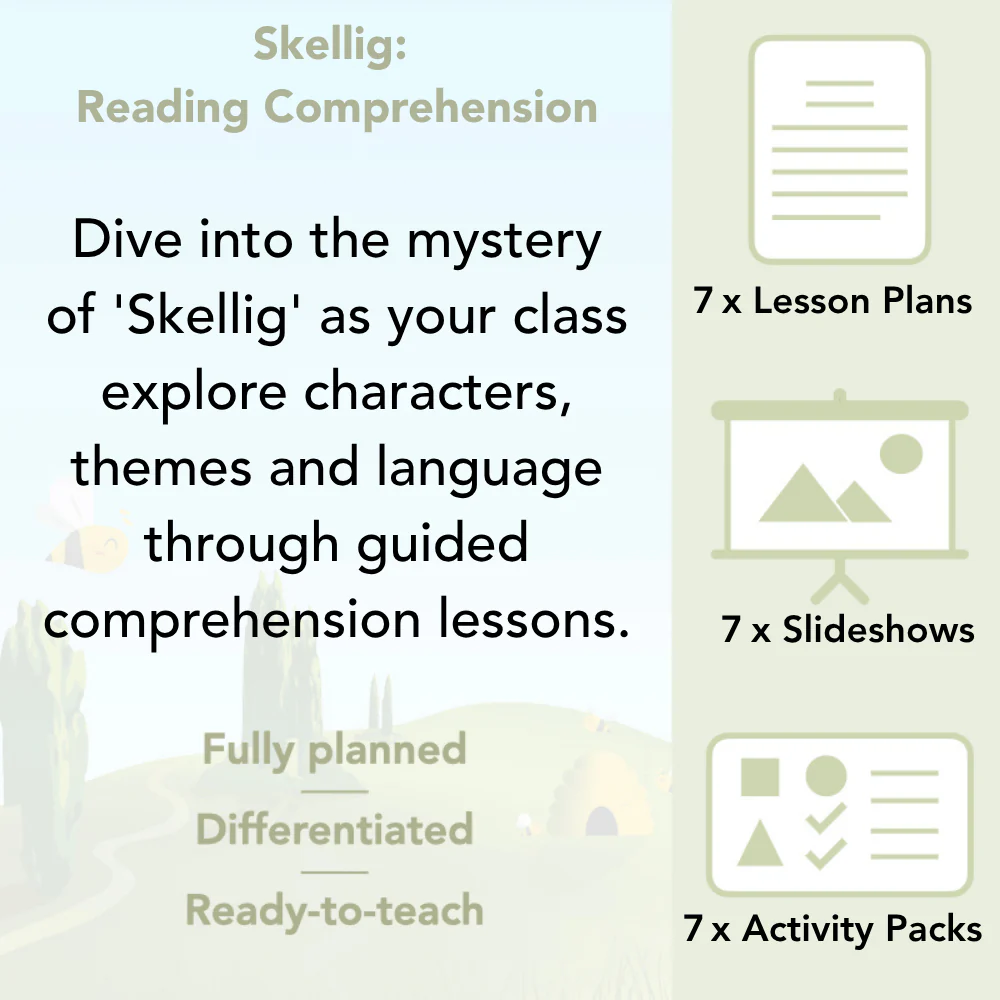 Skellig: Reading Comprehension - Image 2