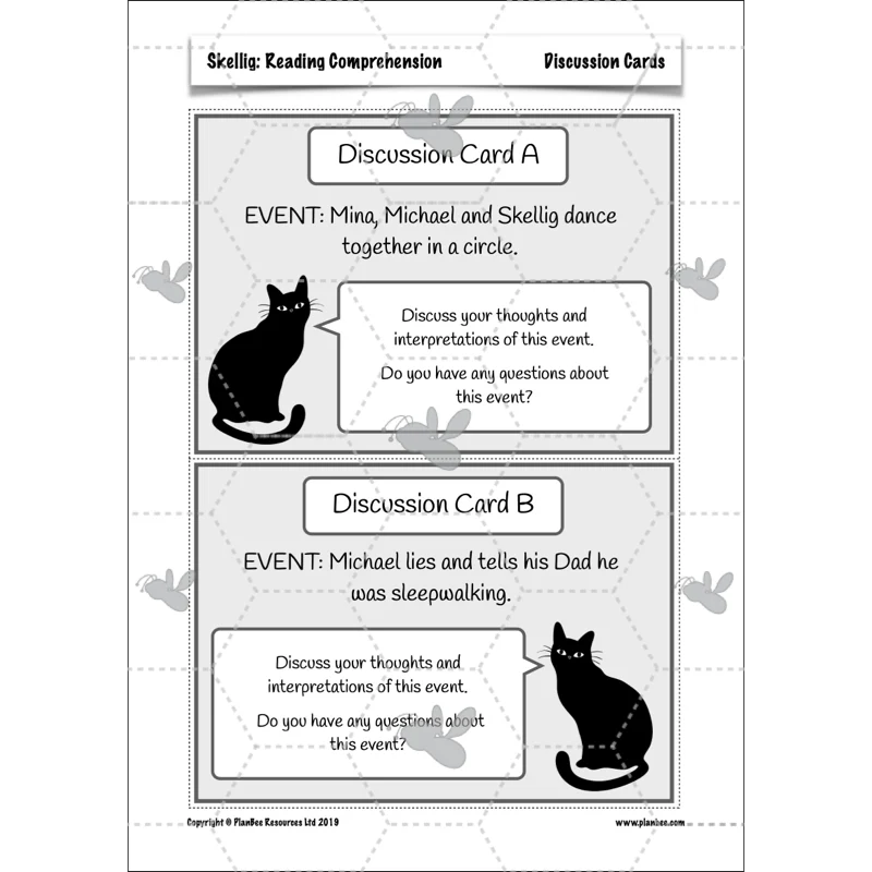 Skellig: Reading Comprehension - Image 22