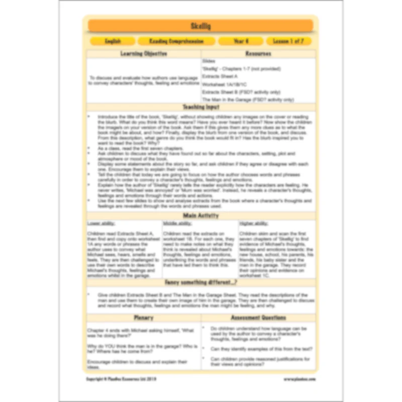 Skellig: Reading Comprehension - Image 33