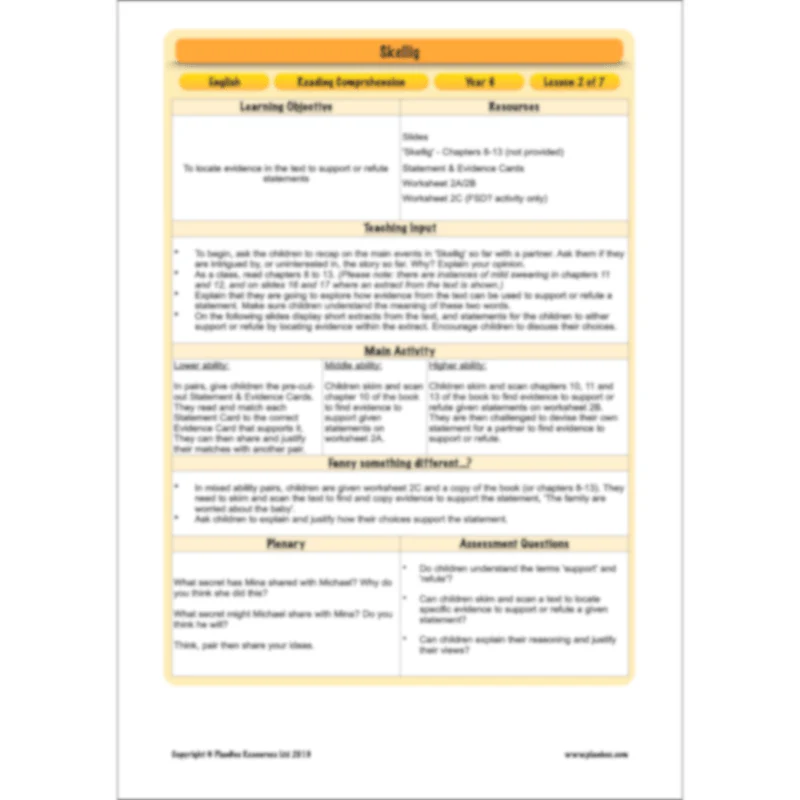 Skellig: Reading Comprehension - Image 41