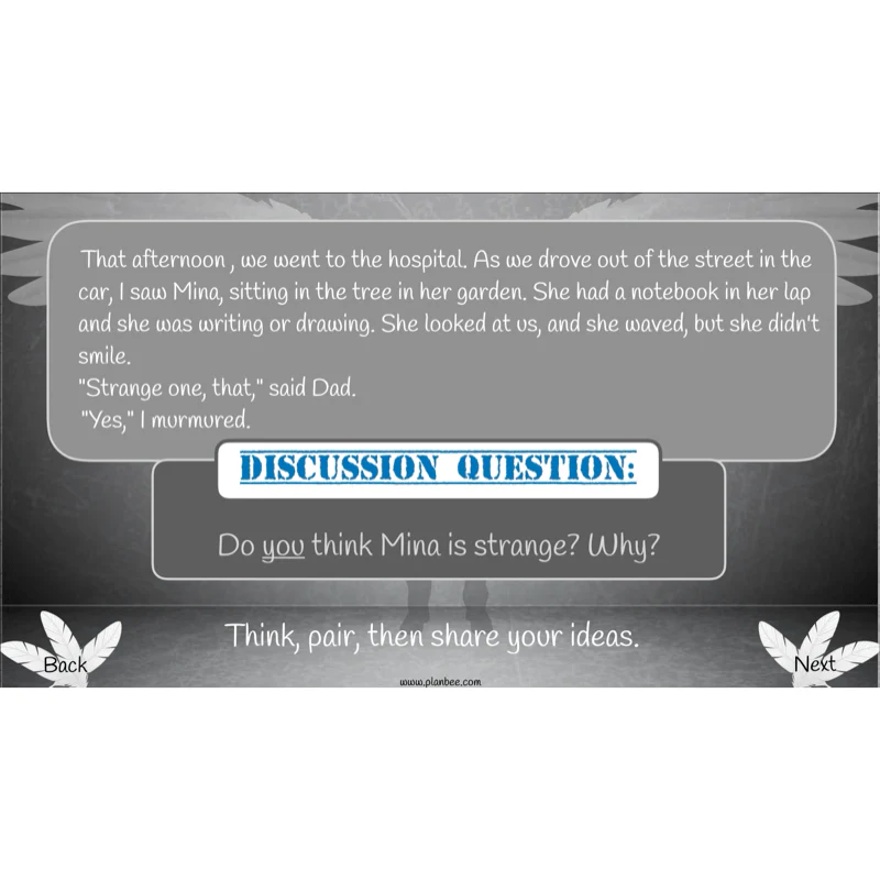 Skellig: Reading Comprehension - Image 45